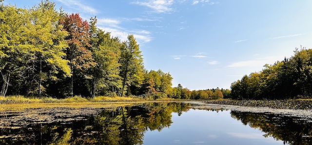 Public Hearing image