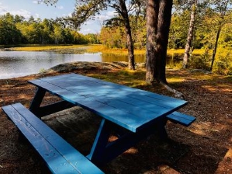 Runaround Pond Table